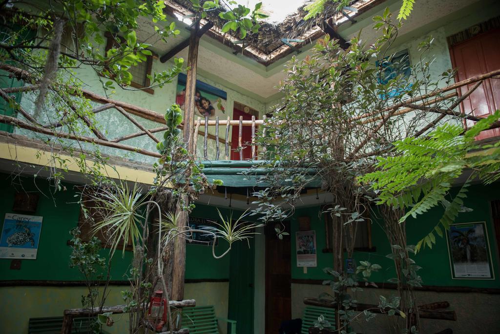 Hostal Dona Chava Педерналес Экстерьер фото